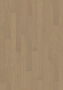 Oak Shitake